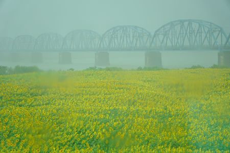 涙ににじむ夏