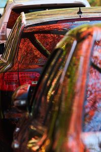 Reflection of autumn leaves