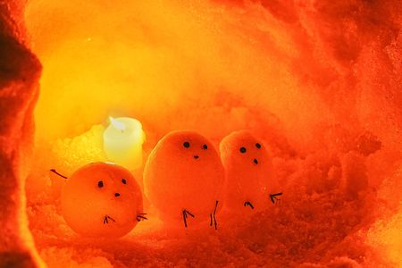 シマエナガと雪あかり