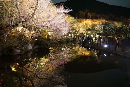 清水寺 夜間特別拝観