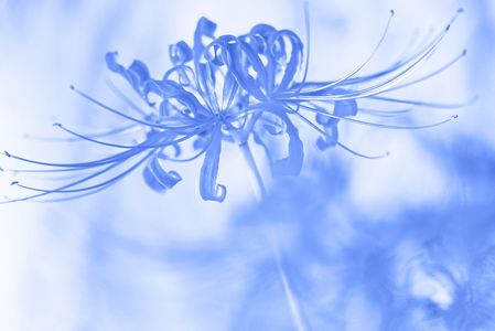 自由でいい・・表現は？？