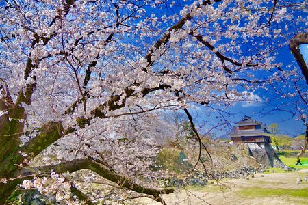 熊本城にて。その二