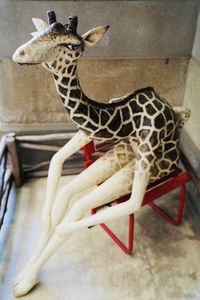 私キリンですが、何か？