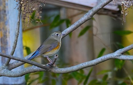 いつもの場所に