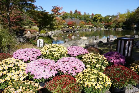 日本の秋