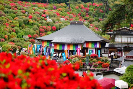 雨のつつじ咲く塩船観音寺