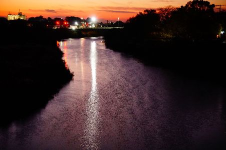 晩秋の散歩風景