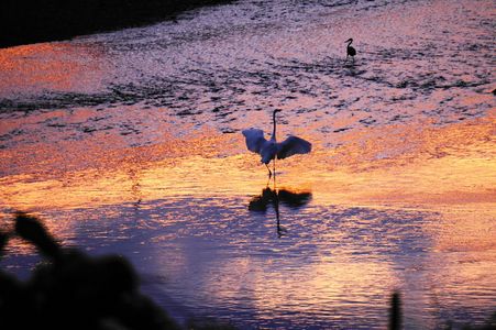 朝焼けの川辺で