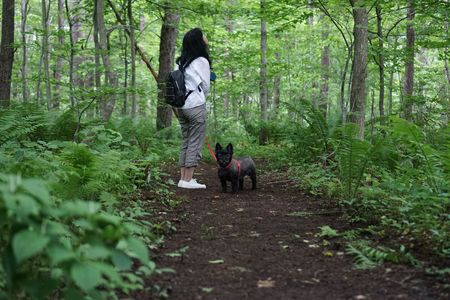森の中のカメラ目線