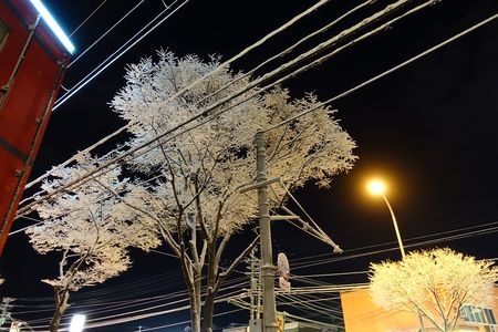 道端でパシャリ！