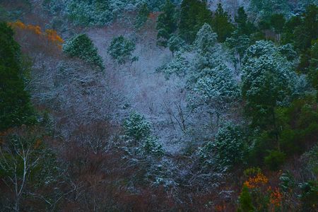 天川村の初雪