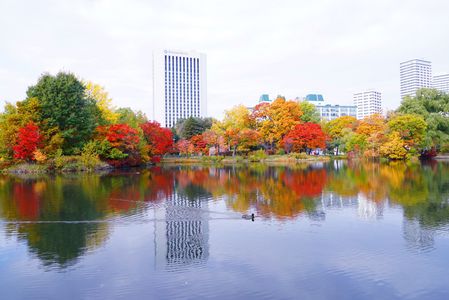 紅葉・黄葉・緑葉 Ⅱ～20251030札幌市中島公園