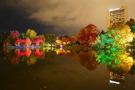 紅葉ライトアップ～20251103札幌市中島公園