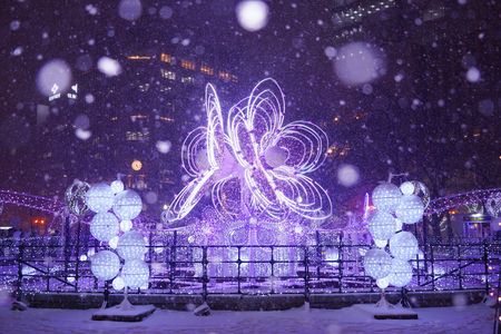 ホワイトイルミネーション20251203