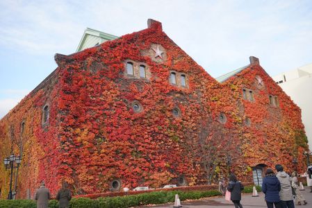 レンガ館の紅葉