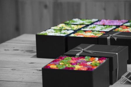 ニコライバーグマンカフェ