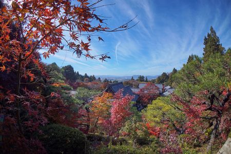 滋賀の紅葉三選