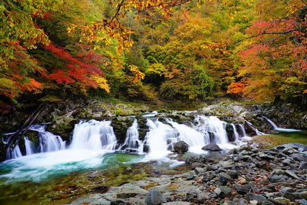 秋のせせらぎ街道