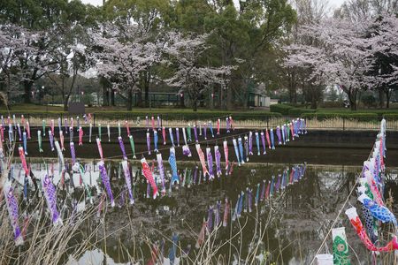 もうすぐこどもの日