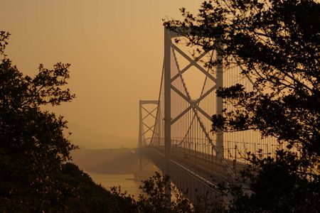 朝霧に包まれた鳴門大橋