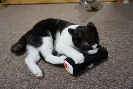 わが家の節分。