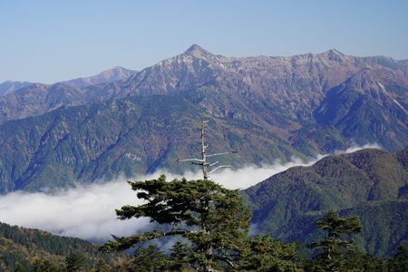 イタダキをめざして