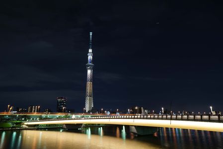 ライトアップ　スカイツリーと桜橋