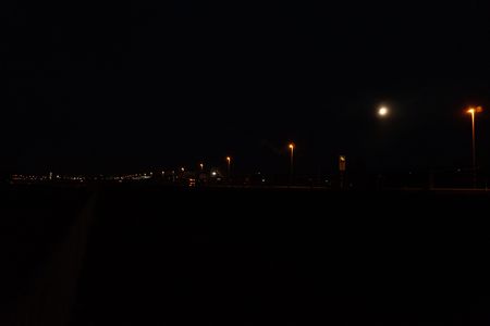 早朝の街灯群の中の月