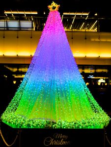 早くもXmasツリー