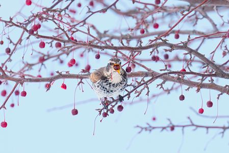 いただきま〜す!!