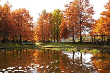 三田　小野公園