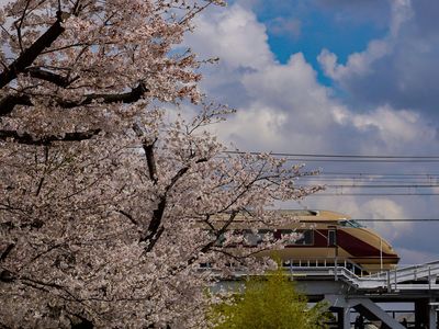 春のうららの隅田川を渡る｢デラックスロマンスカーカラー特急スペーシア｣