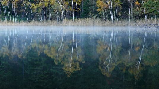 秋を湖面に映して