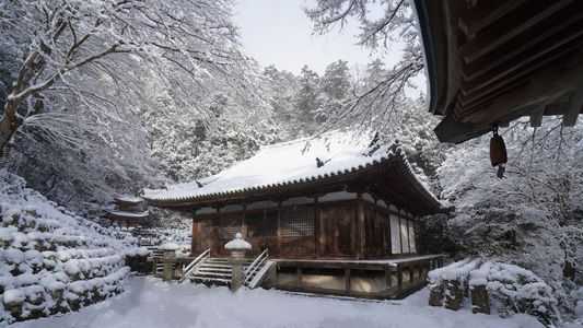 待ちに待った雪景色