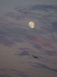 夕焼けに赤く霞みがかった雲に月がかかり航空機がかかる