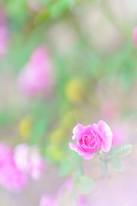 優しさに包まれて