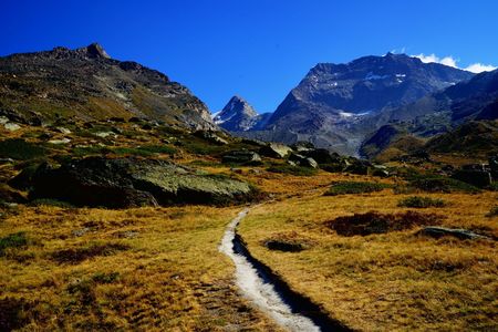 標高2,100ｍのトレイル