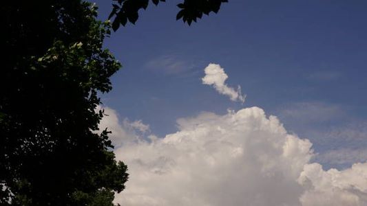 青空に流れる雲