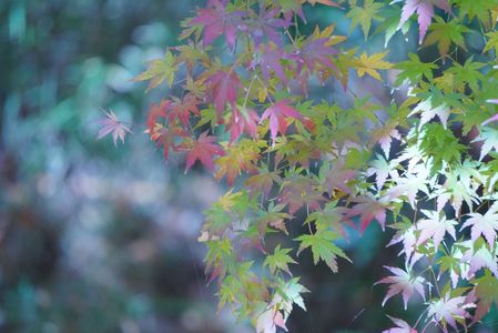 寒い朝の光と影