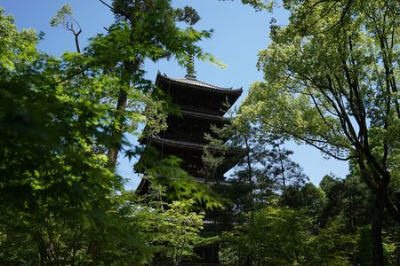 木立の中の五重塔
