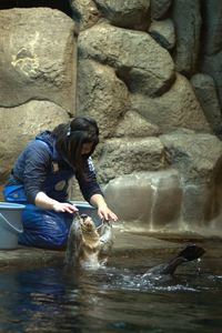 須磨水の可愛い仲間たち