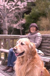 おばあさんの愛犬