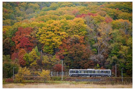 儚く、そして、美しく