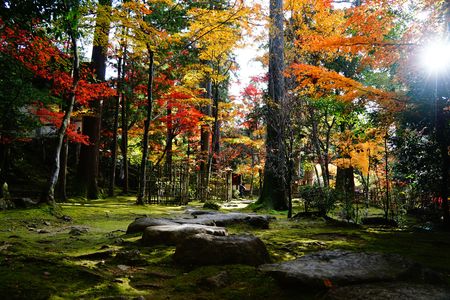 秋景色に魅せられて