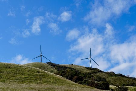 大きな秋を見つけた😊