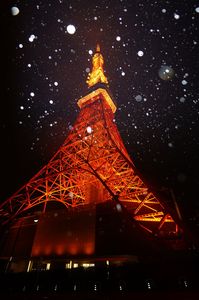 雨降る東京タワー
