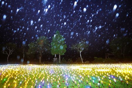 雨のイルミネーション