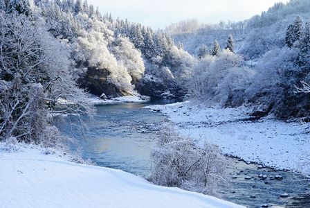 雪国の年明け