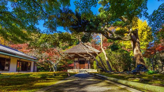 日本の秋、長寿寺の秋！