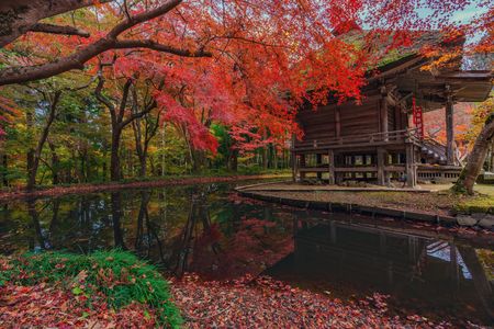 ～みちのくの錦秋！～